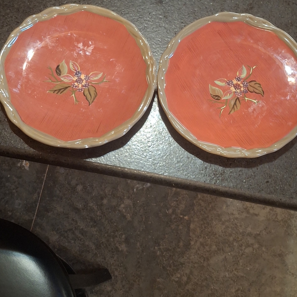 Tracy Porter Coral Floral Dinner Plates with Cream Rim (Set of 2)